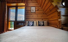WILLA WIDOKOWA Apartamenty&Pokoje z widokiem na góry